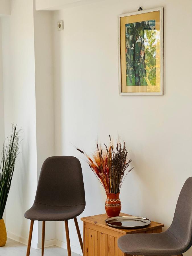 Apartament The Airport Loft Otopeni Zewnętrze zdjęcie