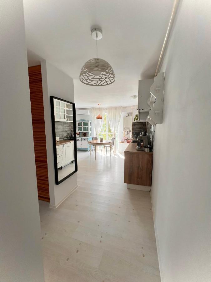 Apartament The Airport Loft Otopeni Zewnętrze zdjęcie