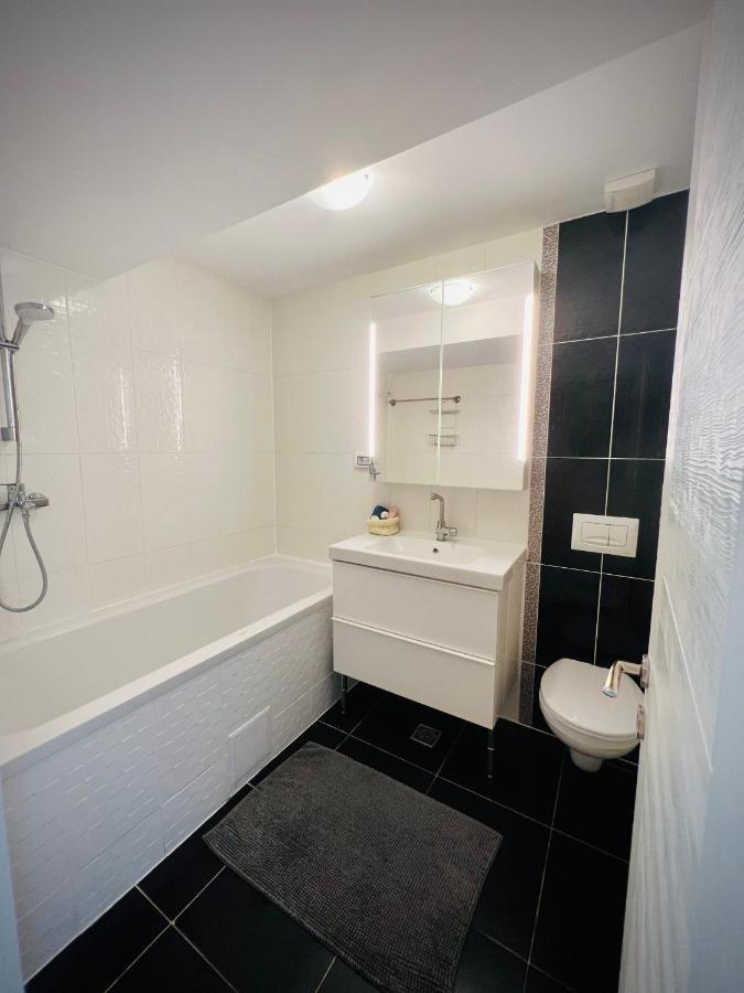 Apartament The Airport Loft Otopeni Zewnętrze zdjęcie